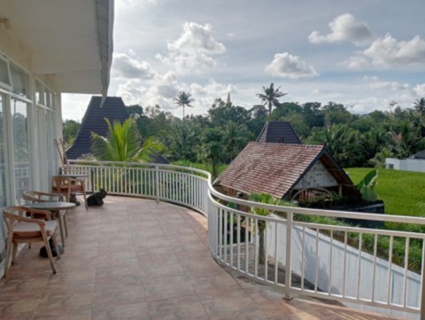 Vue du blacon de la Maison Blanche Pariliana
